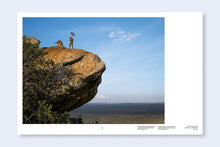 Afbeelding in Gallery-weergave laden, Lucas Foglia Constant Bloom