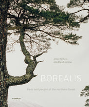 Afbeelding in Gallery-weergave laden, BOREALIS